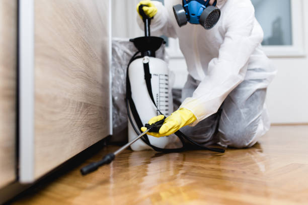 Professional Pest Control in Indianapolis, IN