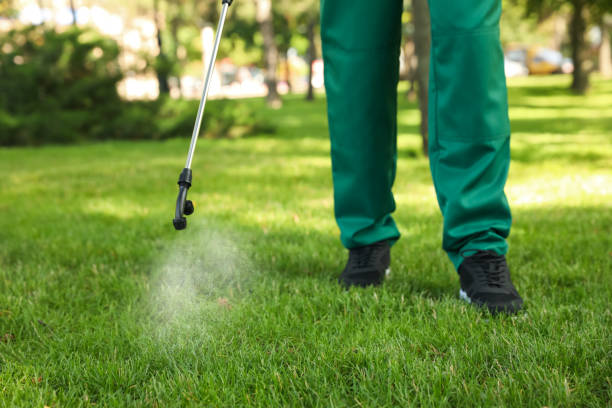 Flea Control Services in Indianapolis, IN