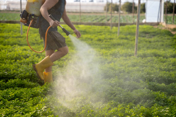Best Mosquito Control Services  in Dianapolis, IN