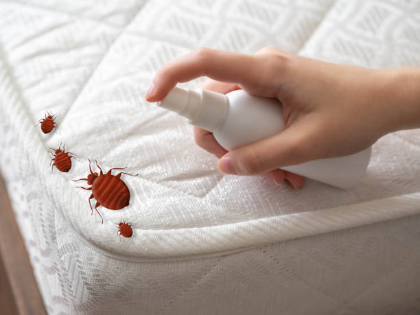 Best Emergency Pest Control  in Dianapolis, IN